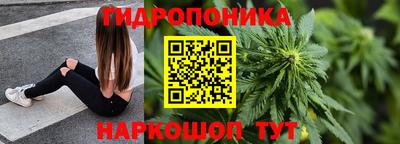 ешки Кингисепп