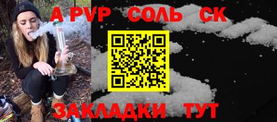 ешки Кингисепп