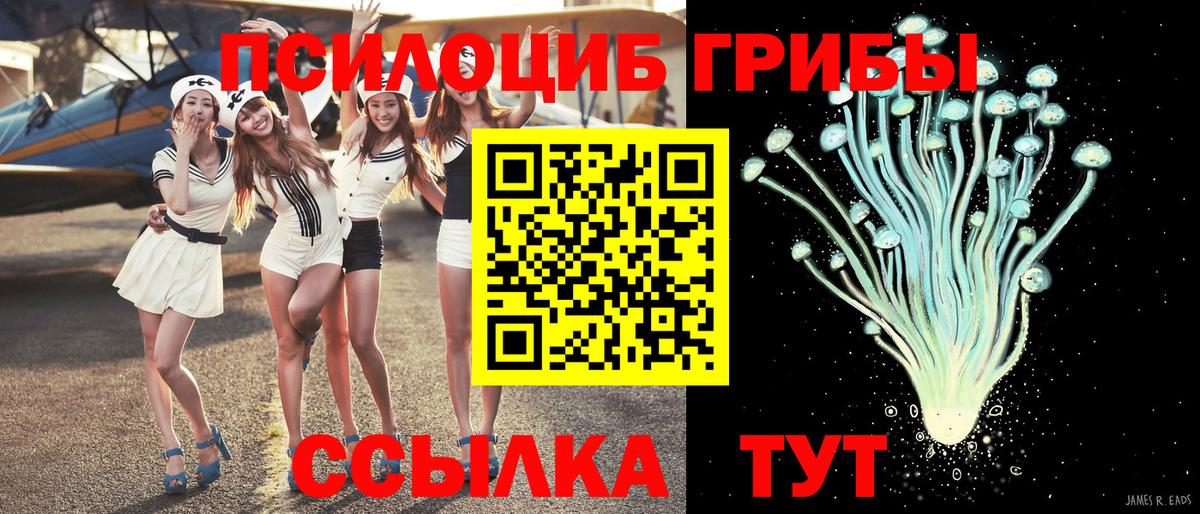 Псилоцибиновые грибы MAGIC MUSHROOMS Благовещенск